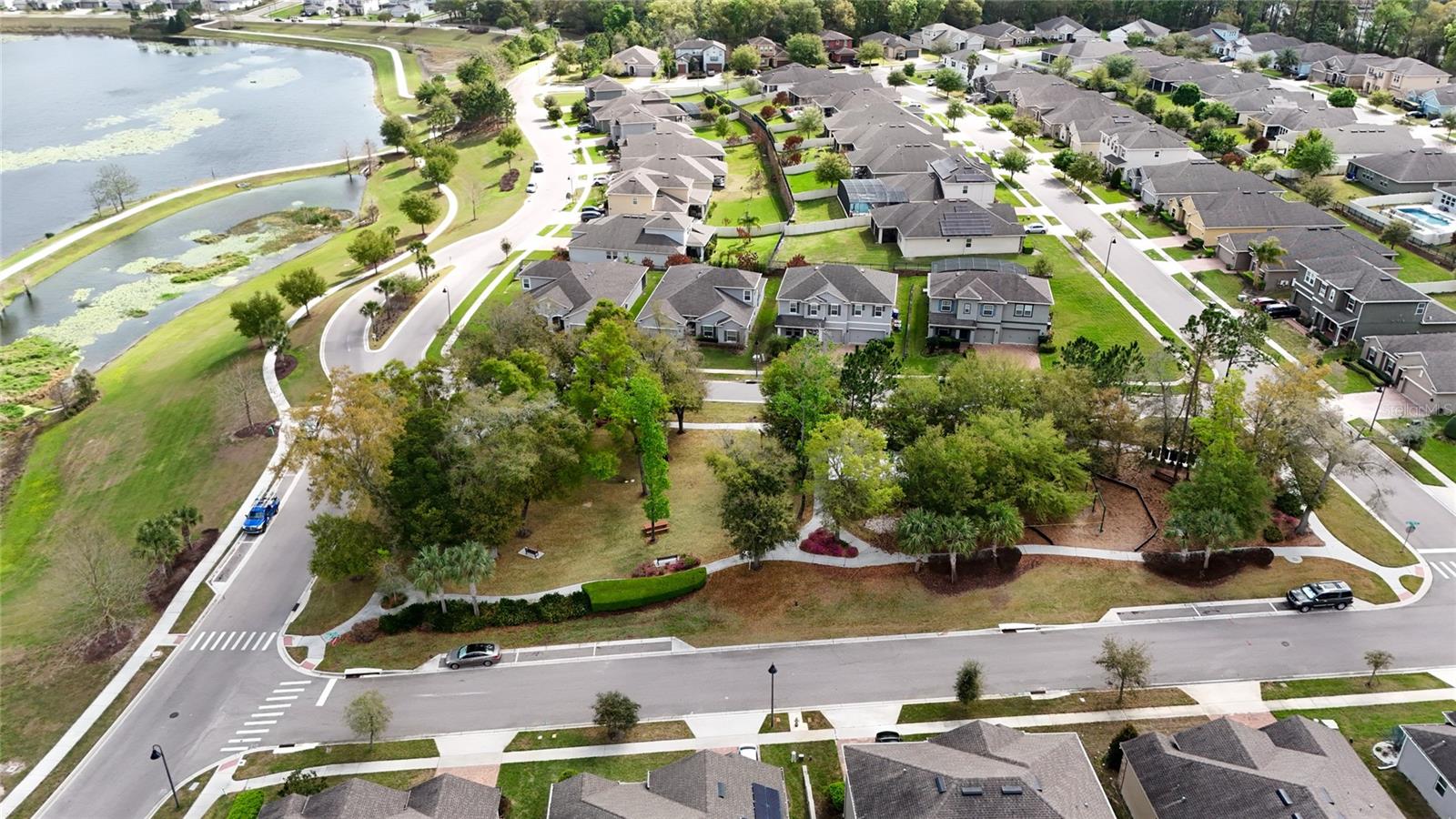 1734 BLACK MAPLE PL, OCOEE, FL, 34761