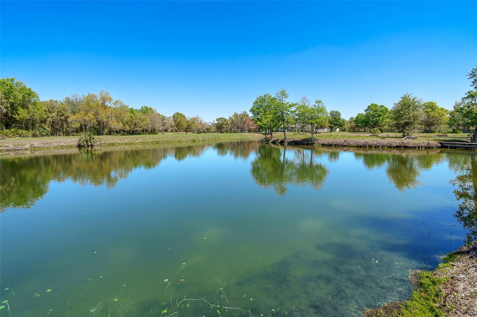9299 SW LIPE RD, ARCADIA, FL, 34269