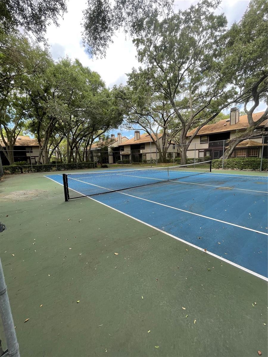 1450 MAHOGANY LN, PALM HARBOR, FL, 34683