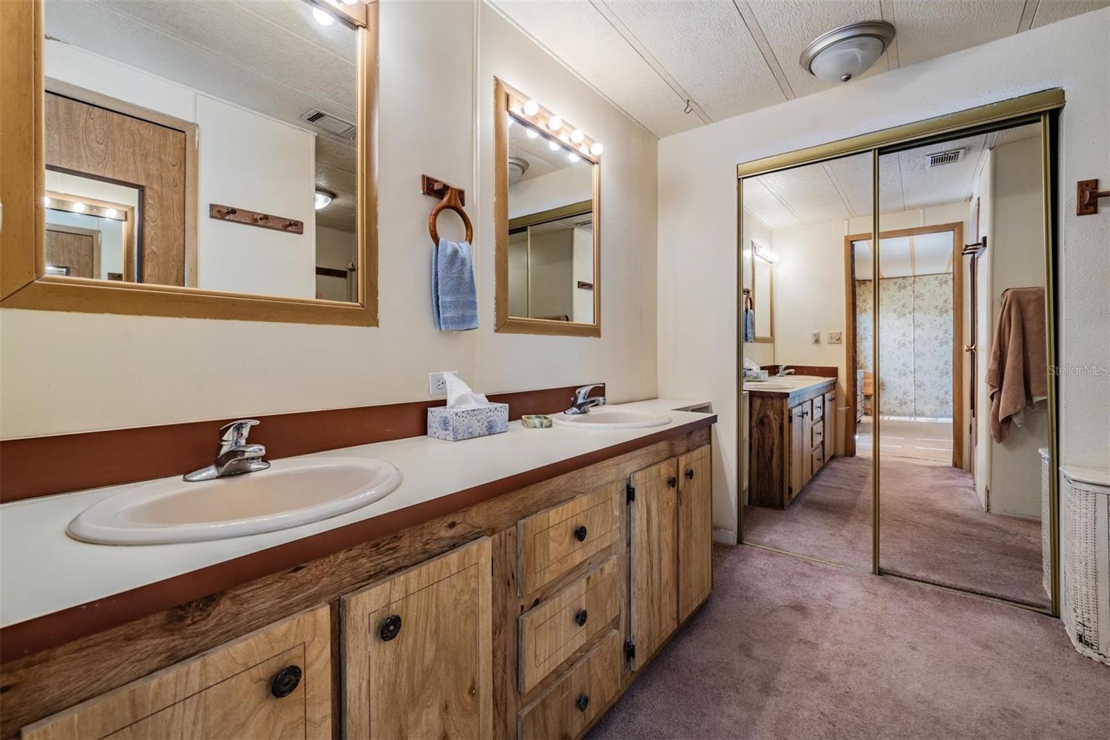 6606 GATOR RANCH ST, PLANT CITY, FL, 33565