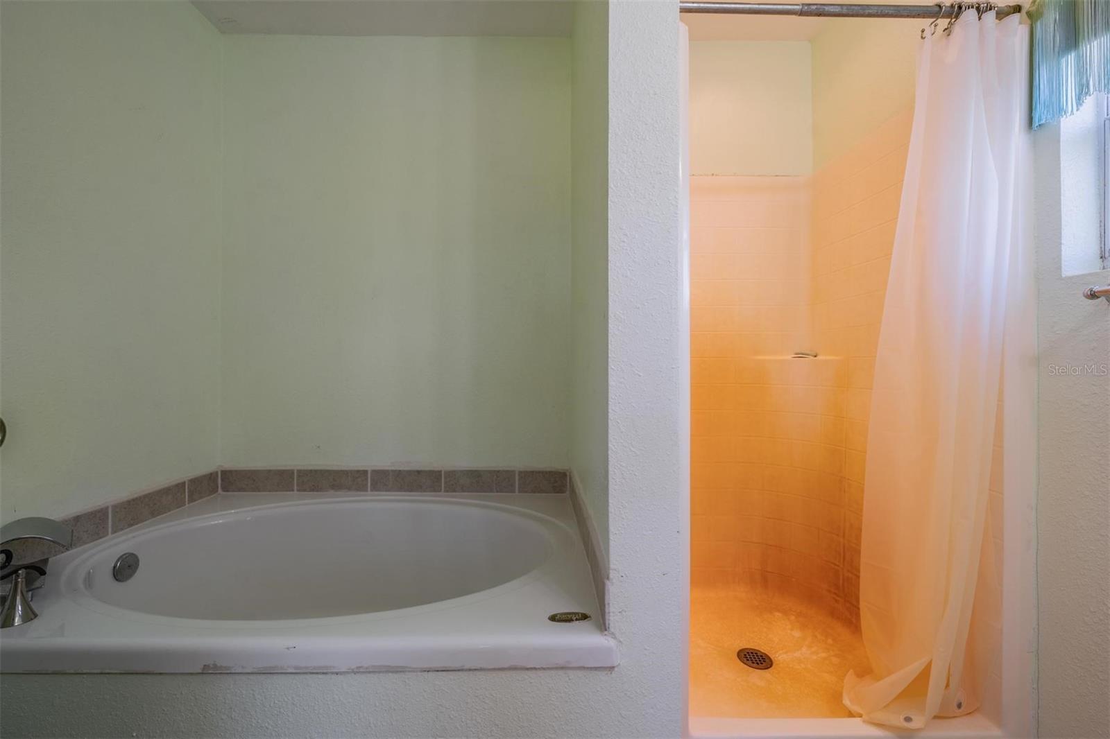 6606 GATOR RANCH ST, PLANT CITY, FL, 33565