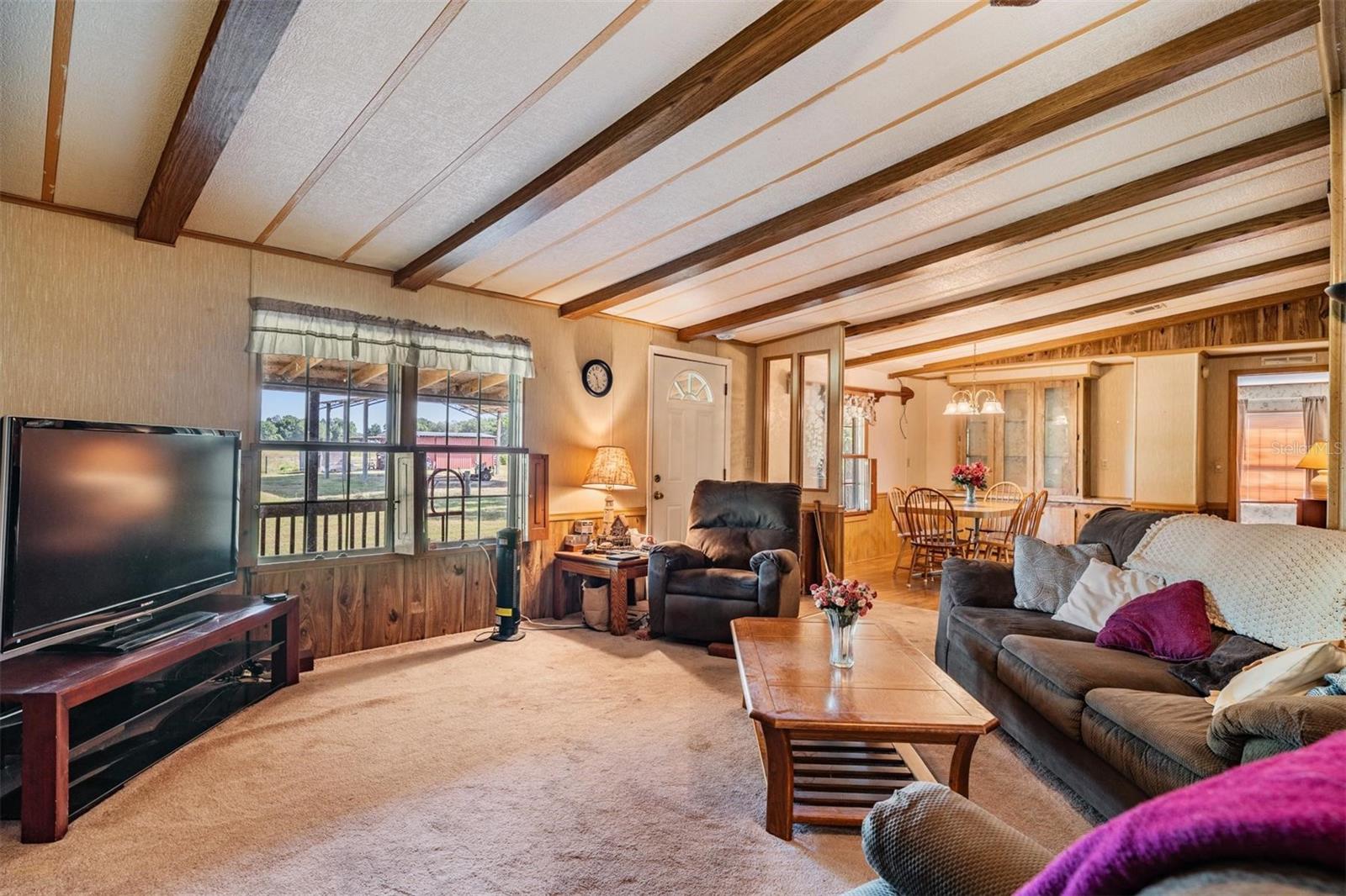 6606 GATOR RANCH ST, PLANT CITY, FL, 33565