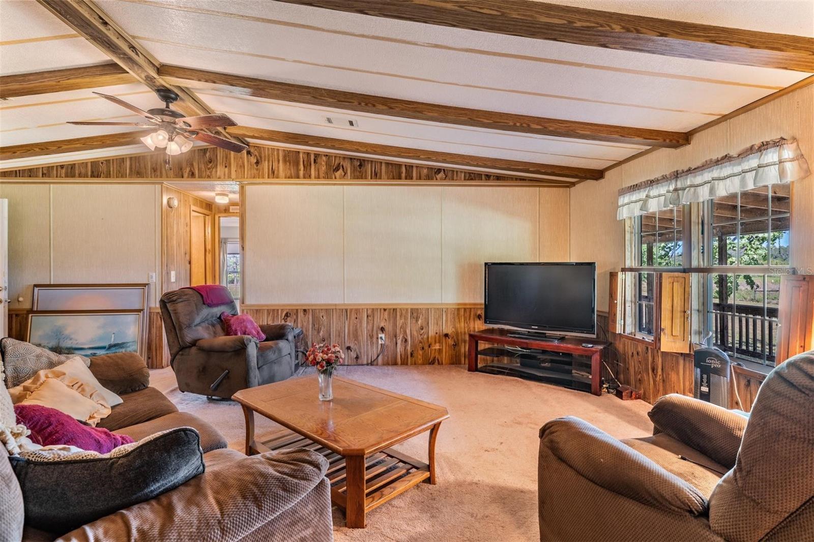 6606 GATOR RANCH ST, PLANT CITY, FL, 33565