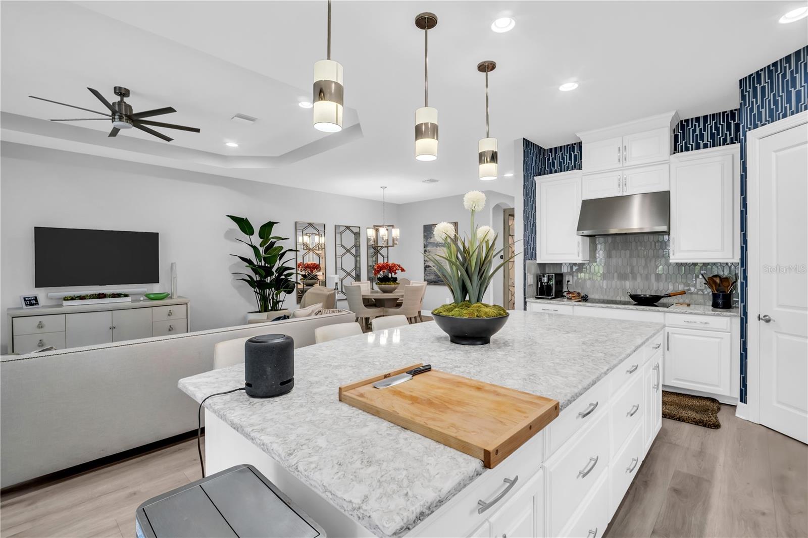 20161 UMBRIA HILL DR, TAMPA, FL, 33647