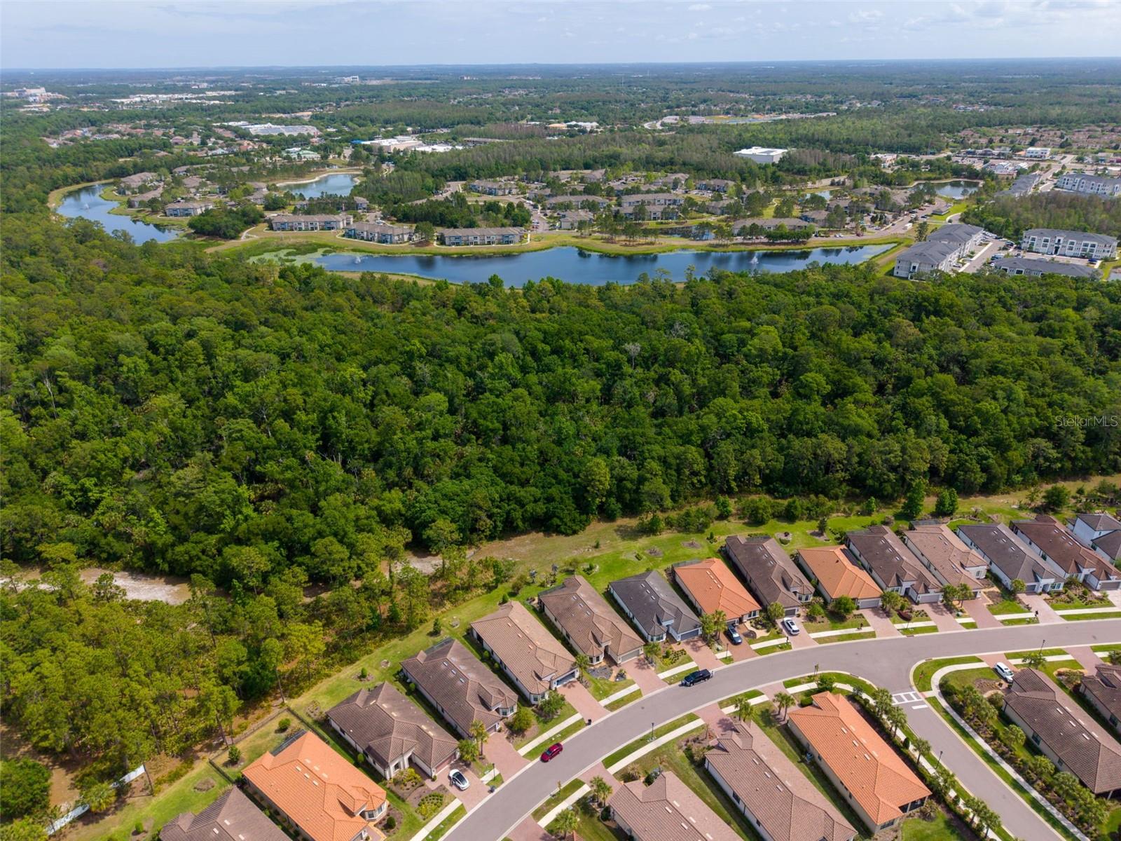 20161 UMBRIA HILL DR, TAMPA, FL, 33647