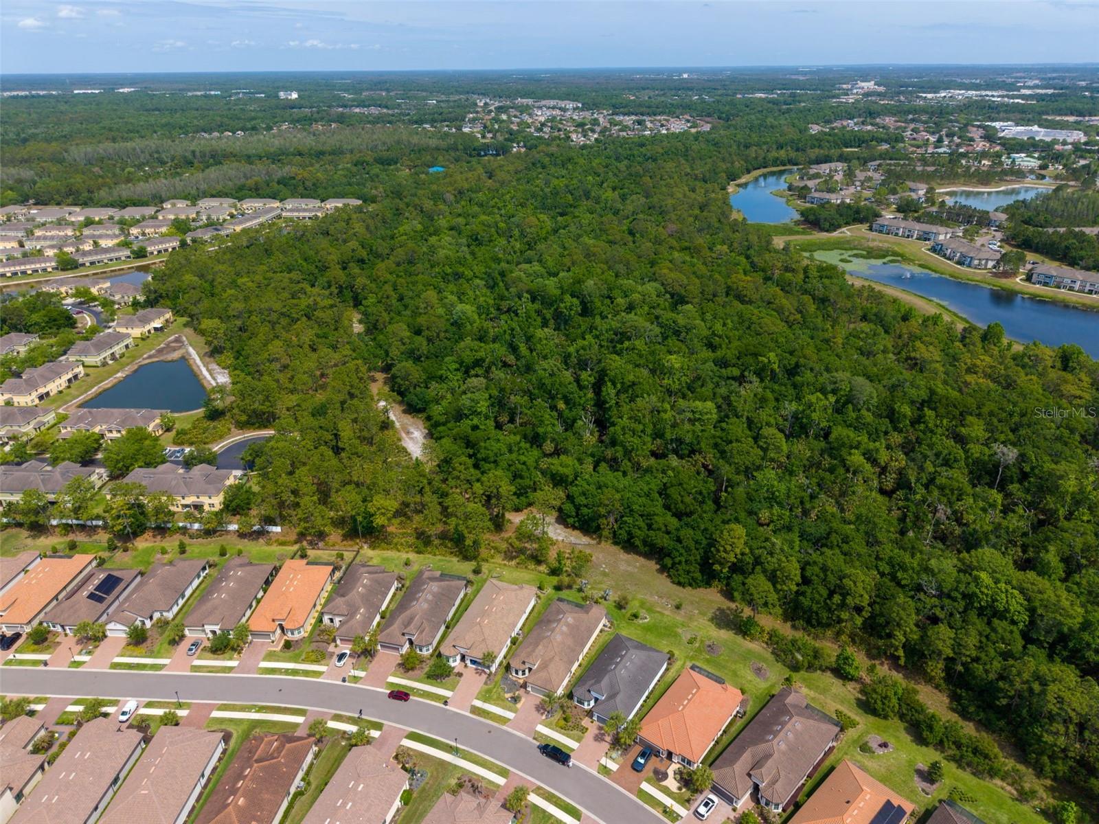 20161 UMBRIA HILL DR, TAMPA, FL, 33647