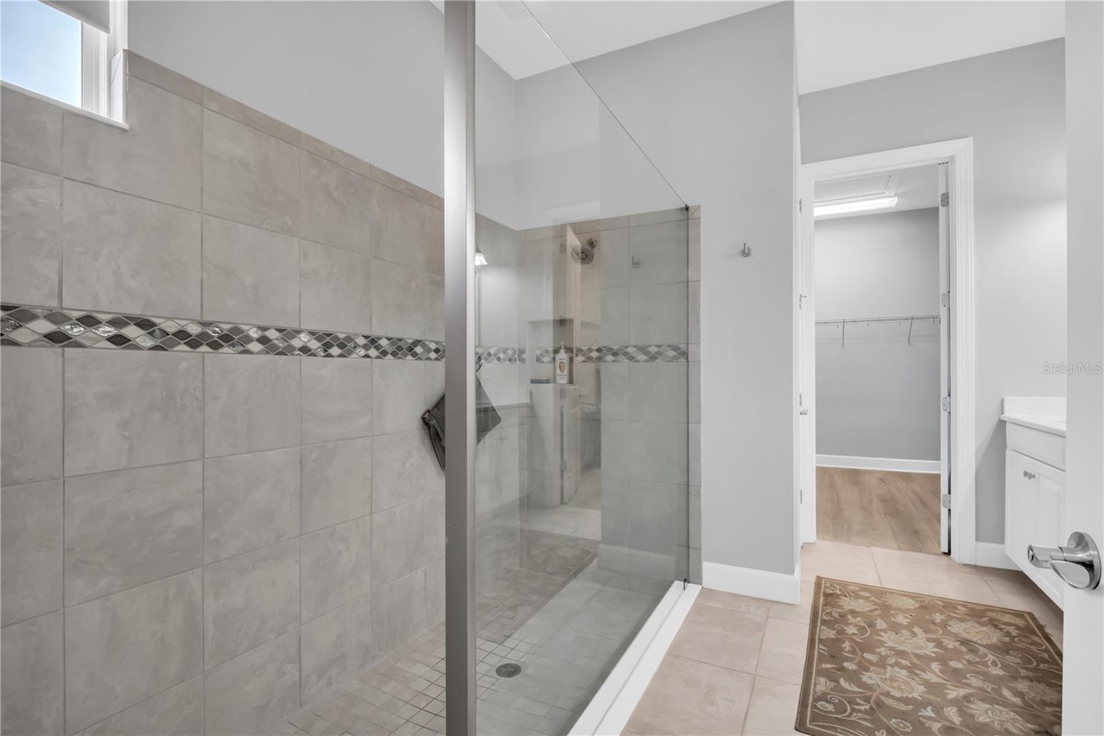 20161 UMBRIA HILL DR, TAMPA, FL, 33647