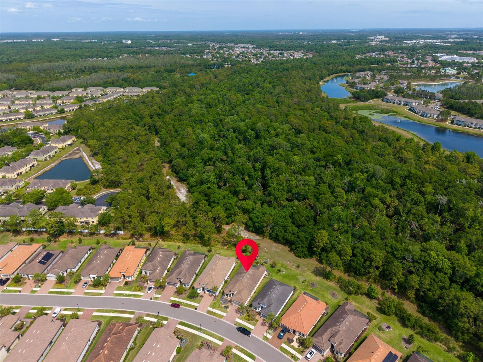 20161 UMBRIA HILL DR, TAMPA, FL, 33647