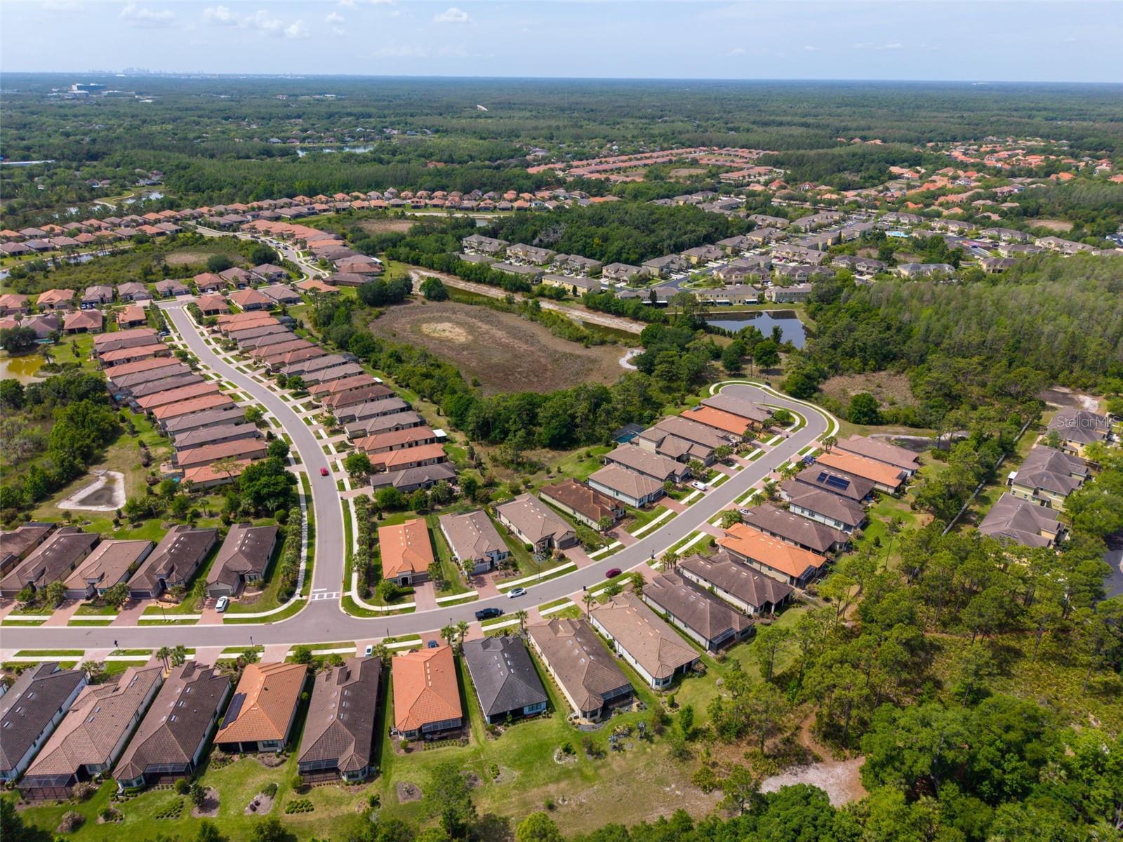 20161 UMBRIA HILL DR, TAMPA, FL, 33647