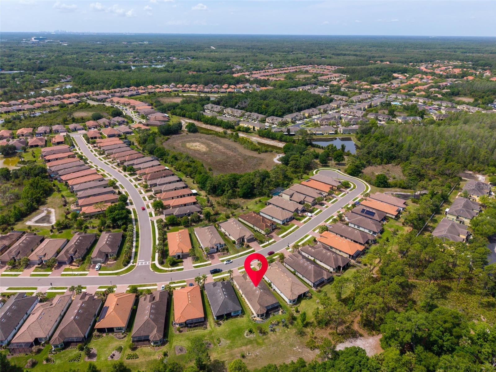 20161 UMBRIA HILL DR, TAMPA, FL, 33647