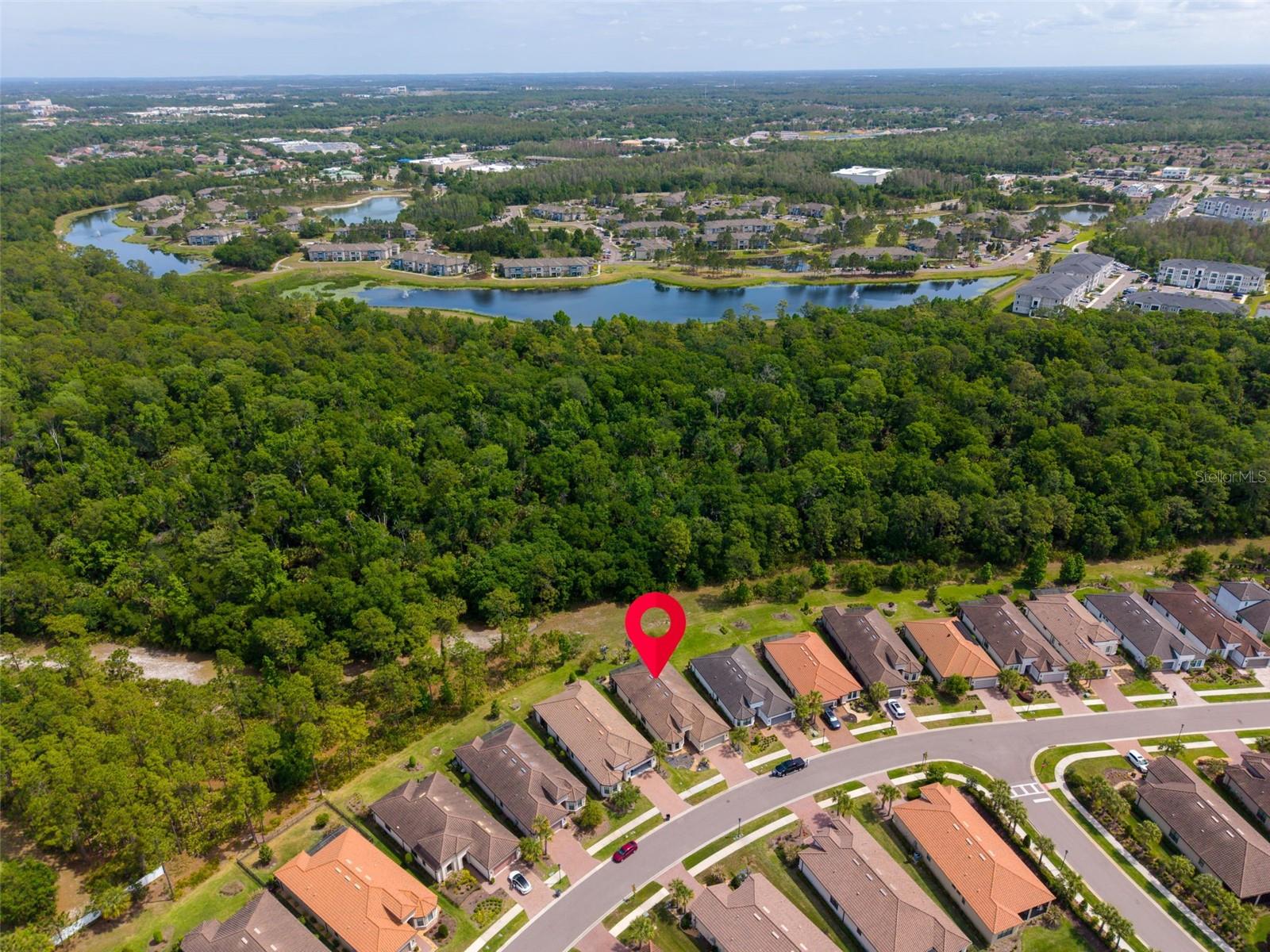 20161 UMBRIA HILL DR, TAMPA, FL, 33647