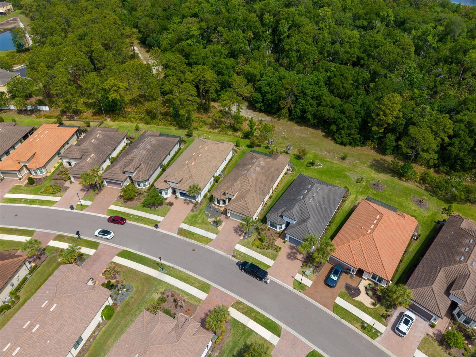 20161 UMBRIA HILL DR, TAMPA, FL, 33647