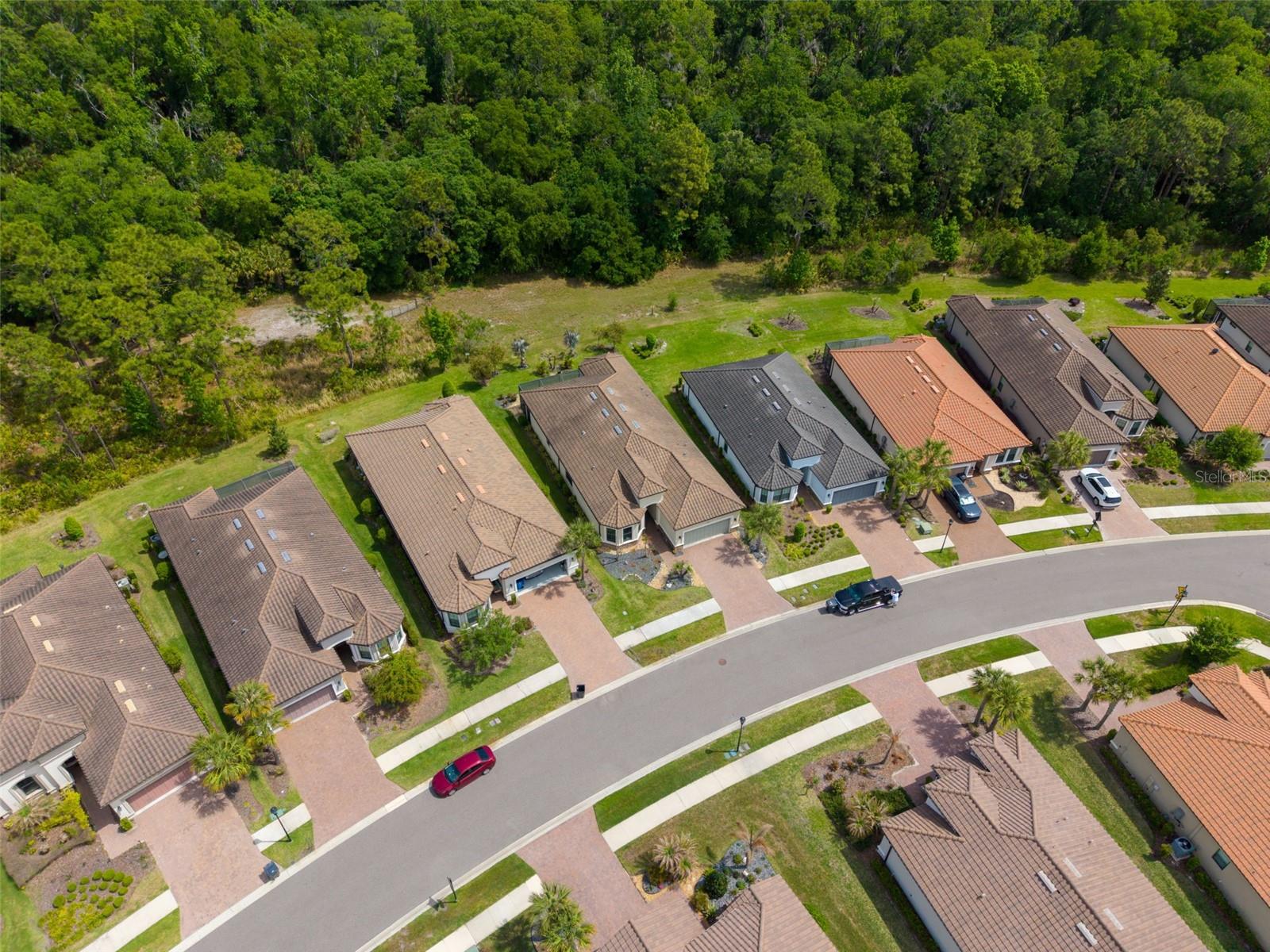 20161 UMBRIA HILL DR, TAMPA, FL, 33647