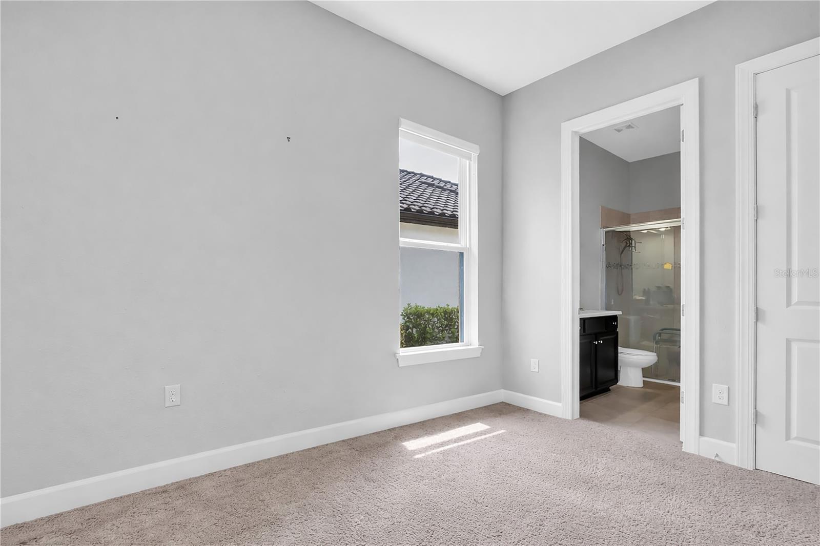 20161 UMBRIA HILL DR, TAMPA, FL, 33647