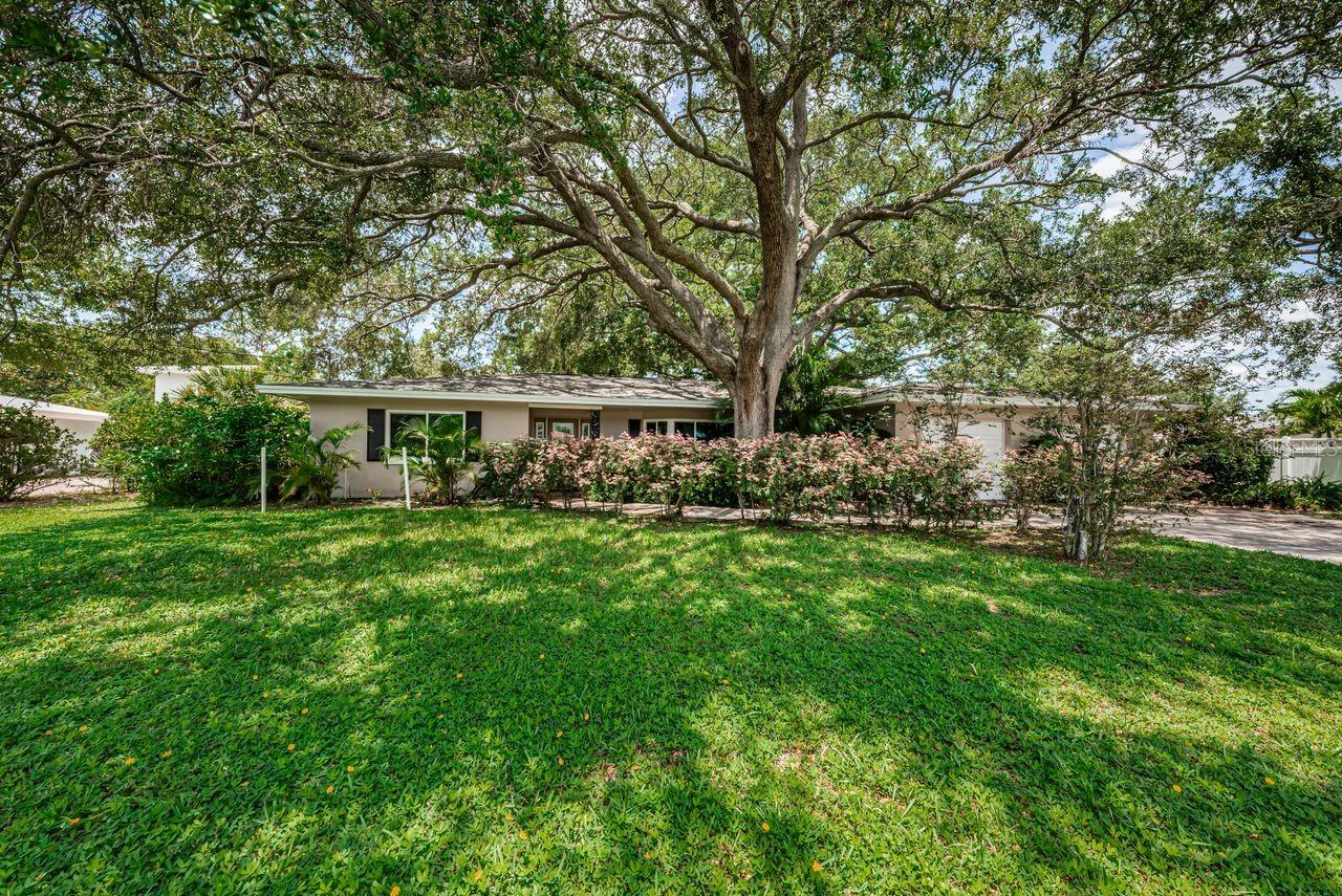 1704 CYPRESS AVE, BELLEAIR, FL, 33756