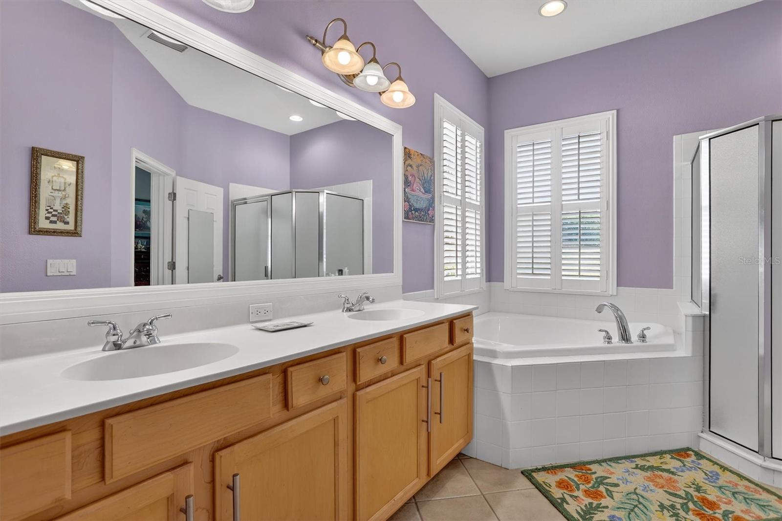 416 MANNS HARBOR DR, APOLLO BEACH, FL, 33572