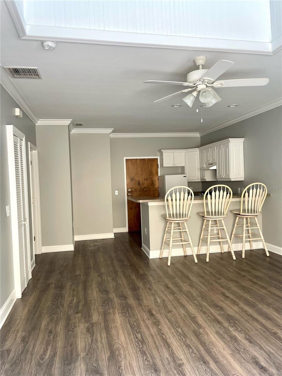 29 E MAGNOLIA AVE #3, EUSTIS, FL, 32726