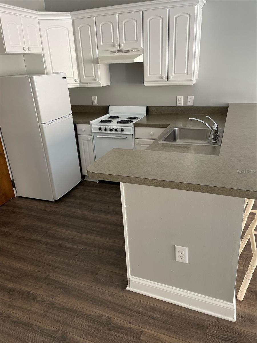 29 E MAGNOLIA AVE #3, EUSTIS, FL, 32726