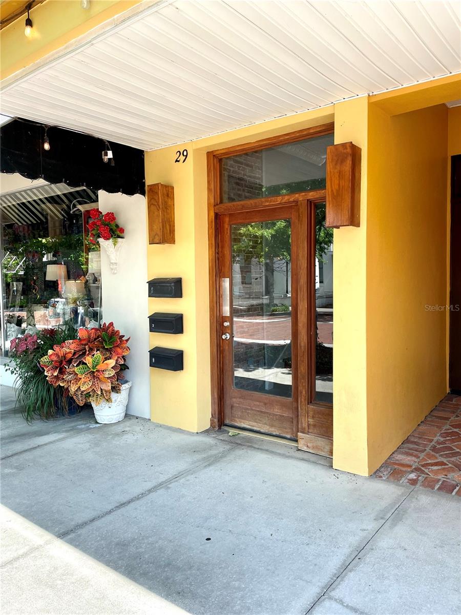 29 E MAGNOLIA AVE #3, EUSTIS, FL, 32726