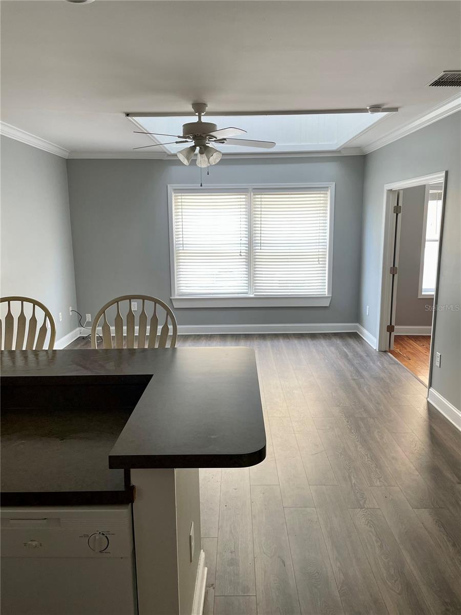 29 E MAGNOLIA AVE #3, EUSTIS, FL, 32726