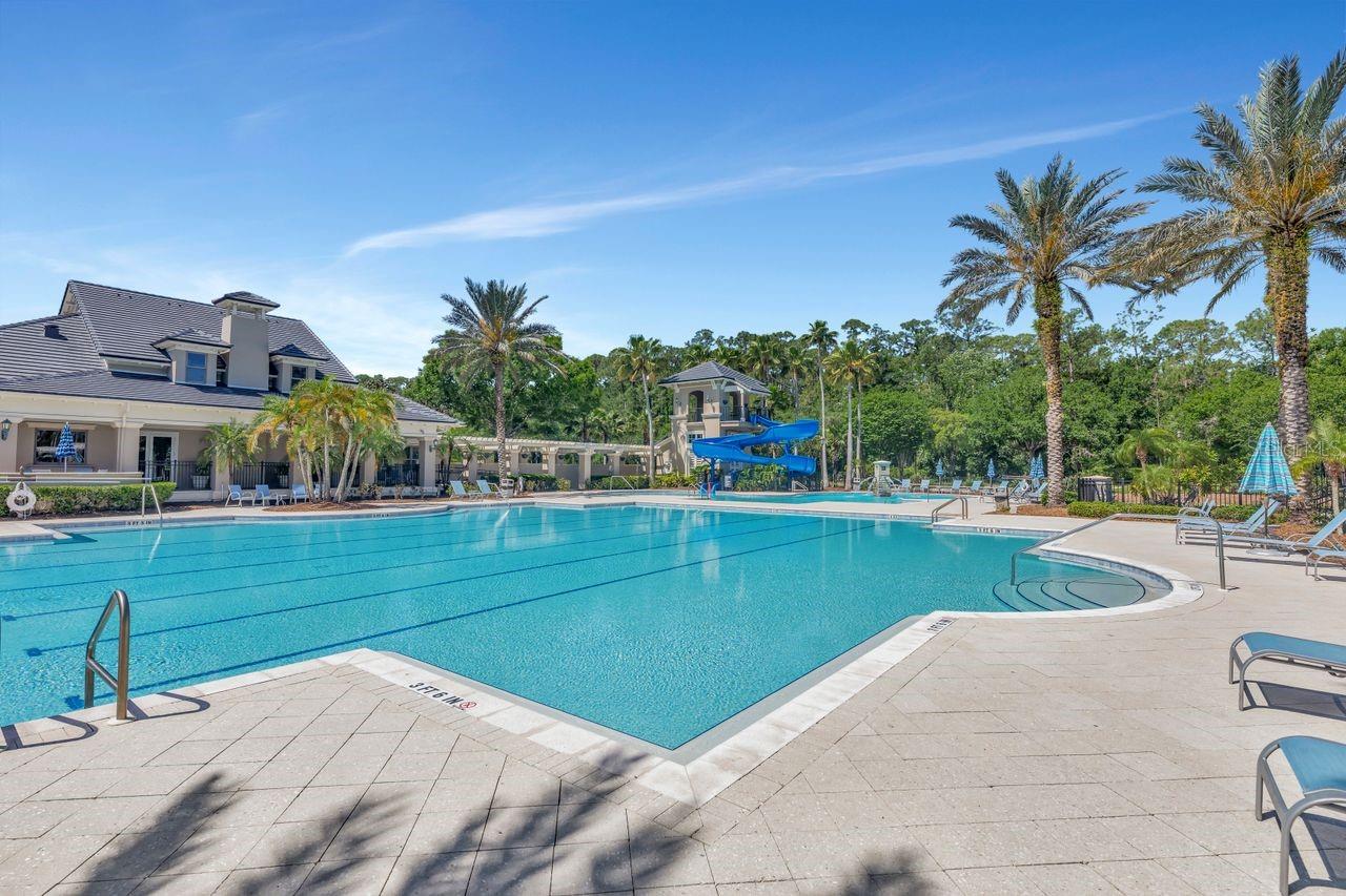 11637 BRISTOL CHASE DR, TAMPA, FL, 33626