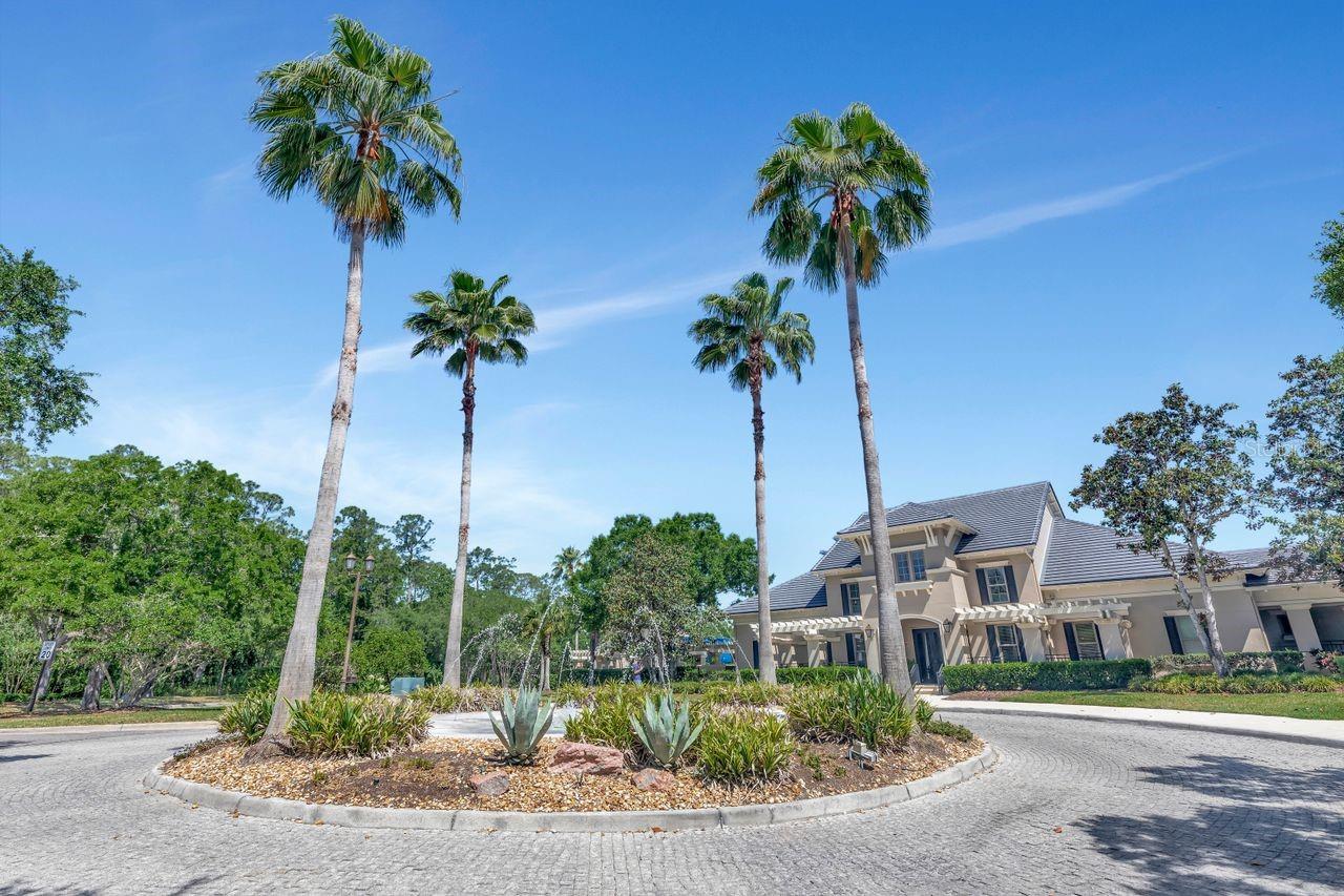 11637 BRISTOL CHASE DR, TAMPA, FL, 33626