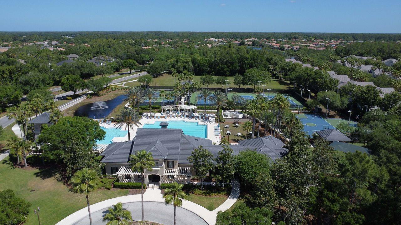 11637 BRISTOL CHASE DR, TAMPA, FL, 33626