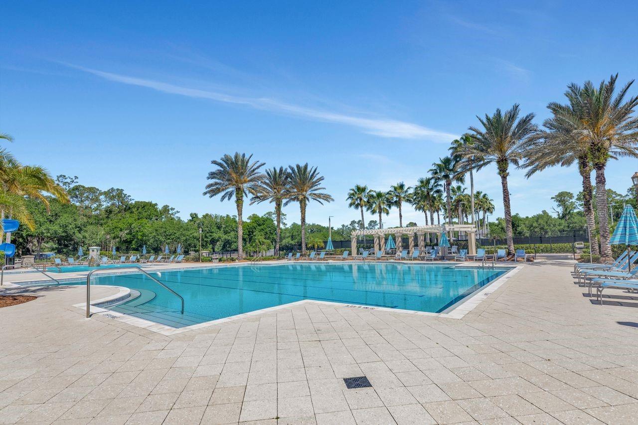 11637 BRISTOL CHASE DR, TAMPA, FL, 33626