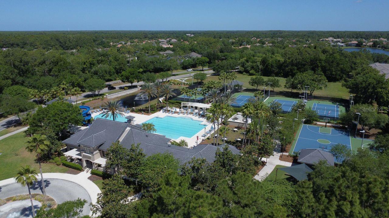 11637 BRISTOL CHASE DR, TAMPA, FL, 33626