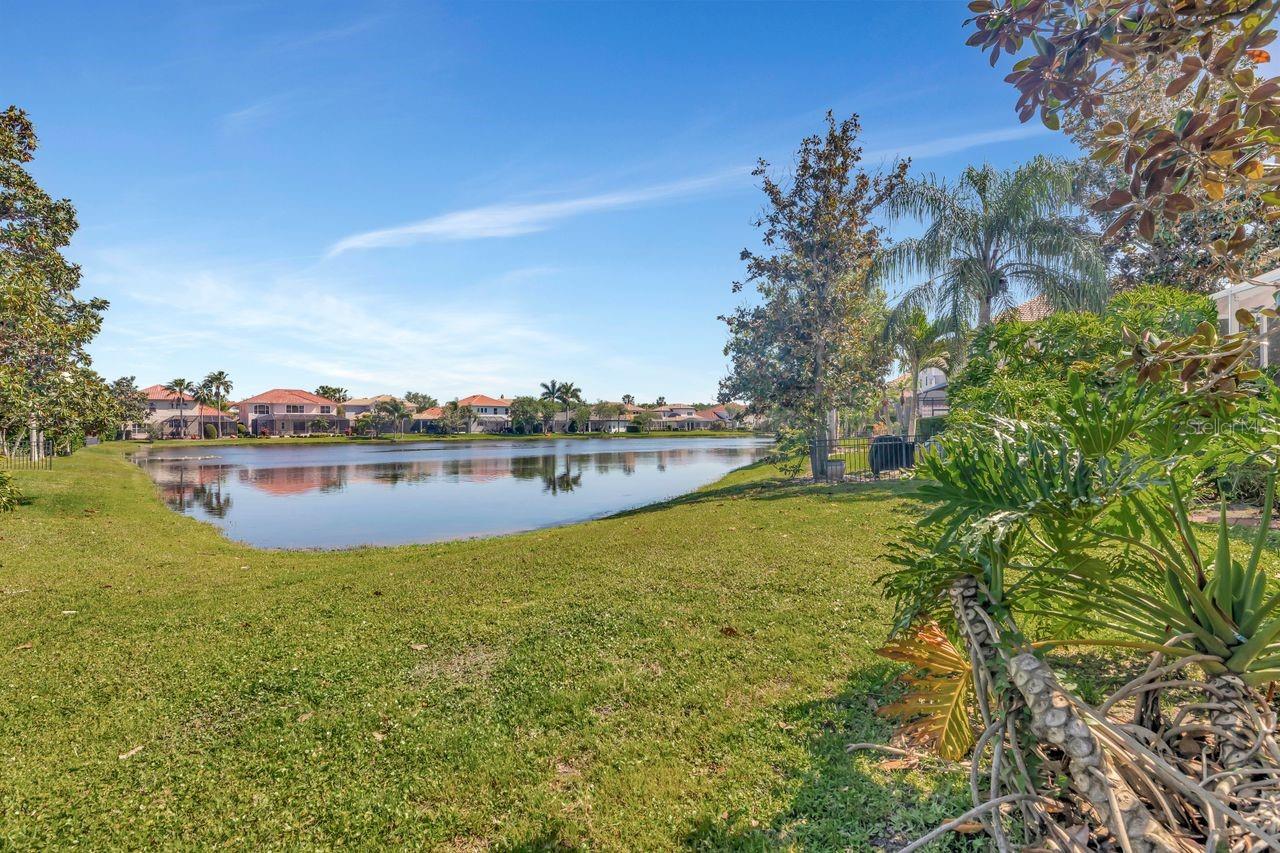 11637 BRISTOL CHASE DR, TAMPA, FL, 33626