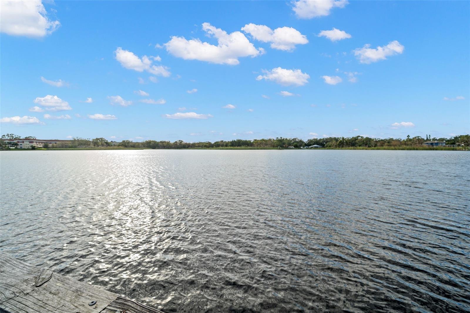 2433 BRAZILIA DR #41, CLEARWATER, FL, 33763