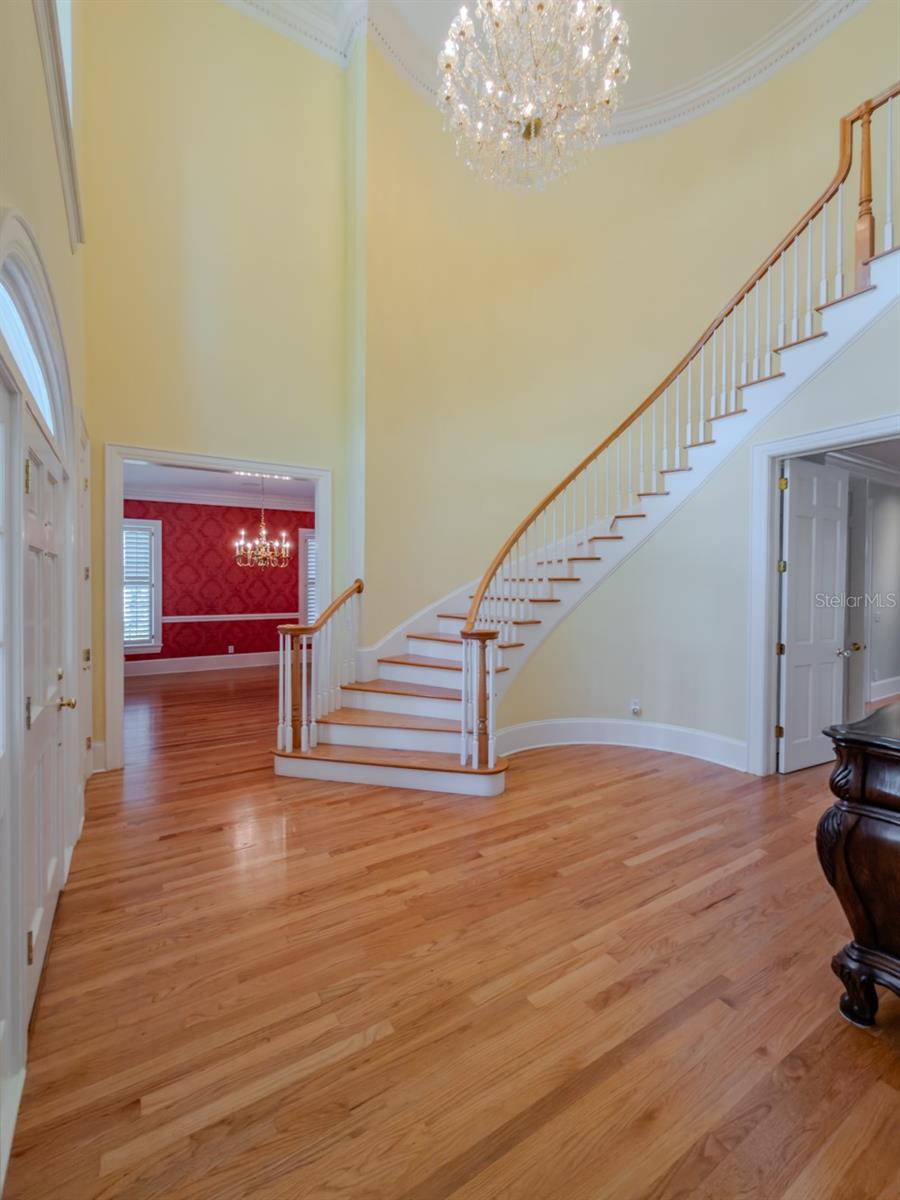 1816 S DOVER RD, DOVER, FL, 33527