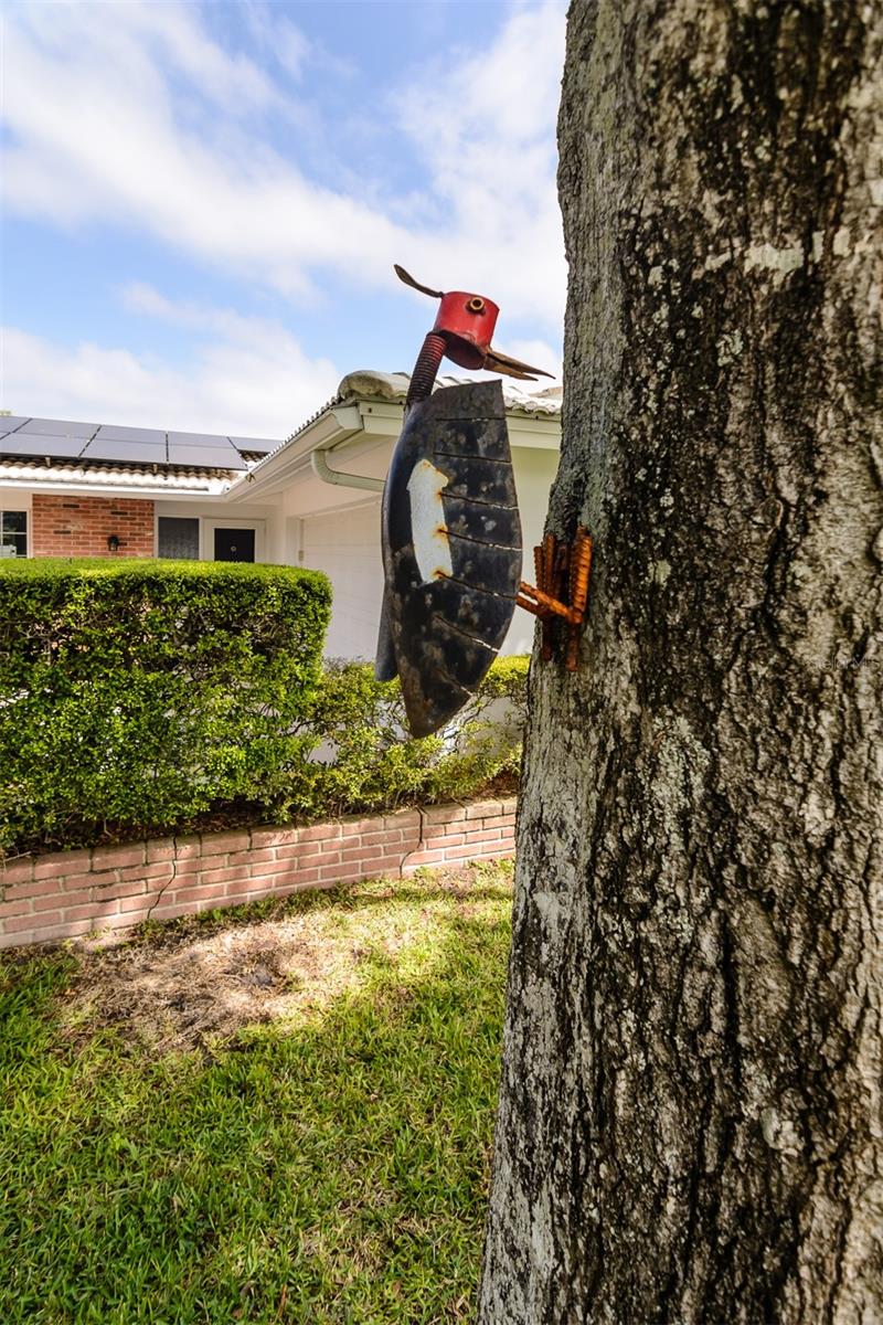 1228 INVERNESS DR, DUNEDIN, FL, 34698