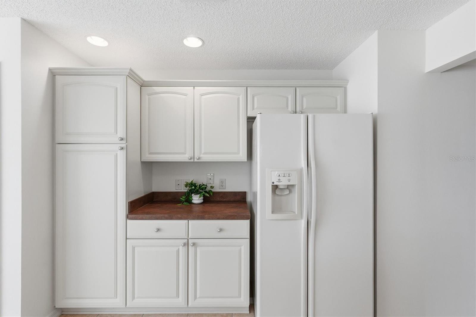 1563 EASTOVER TER, THE VILLAGES, FL, 32162