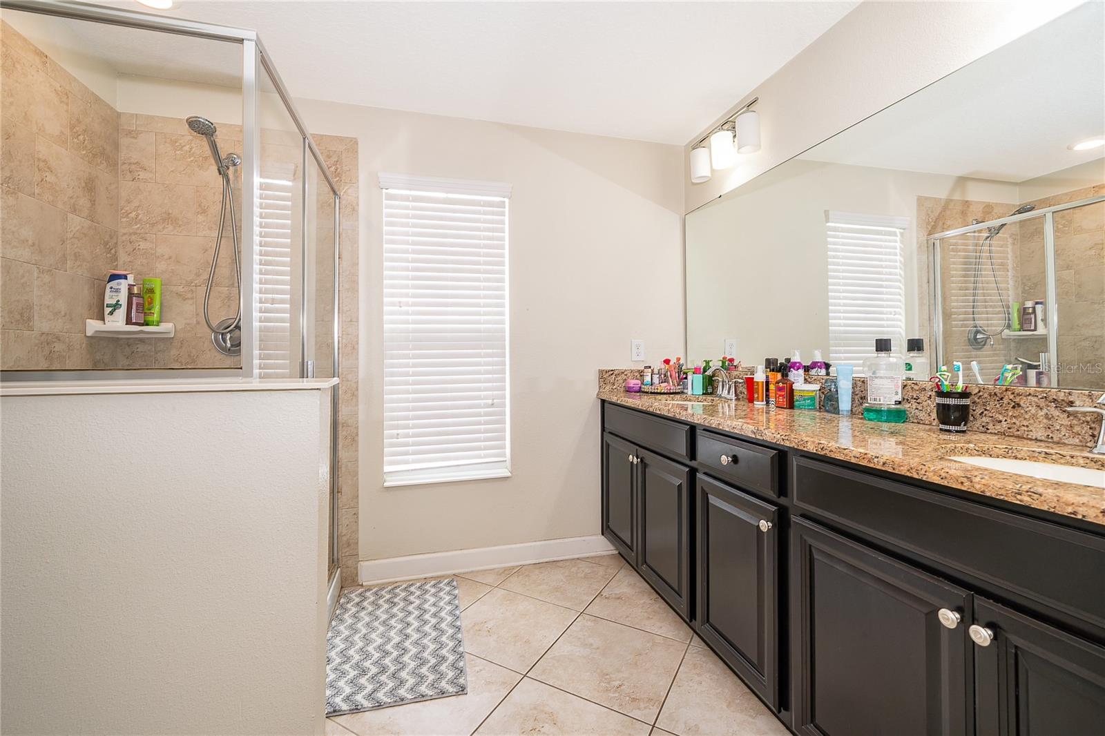 15234 HARRINGTON COVE DR, ORLANDO, FL, 32824