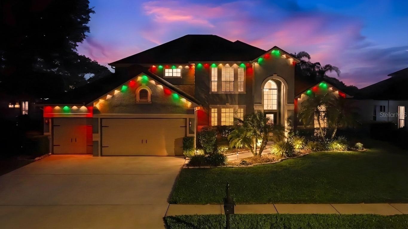 Holiday Govee lighting
