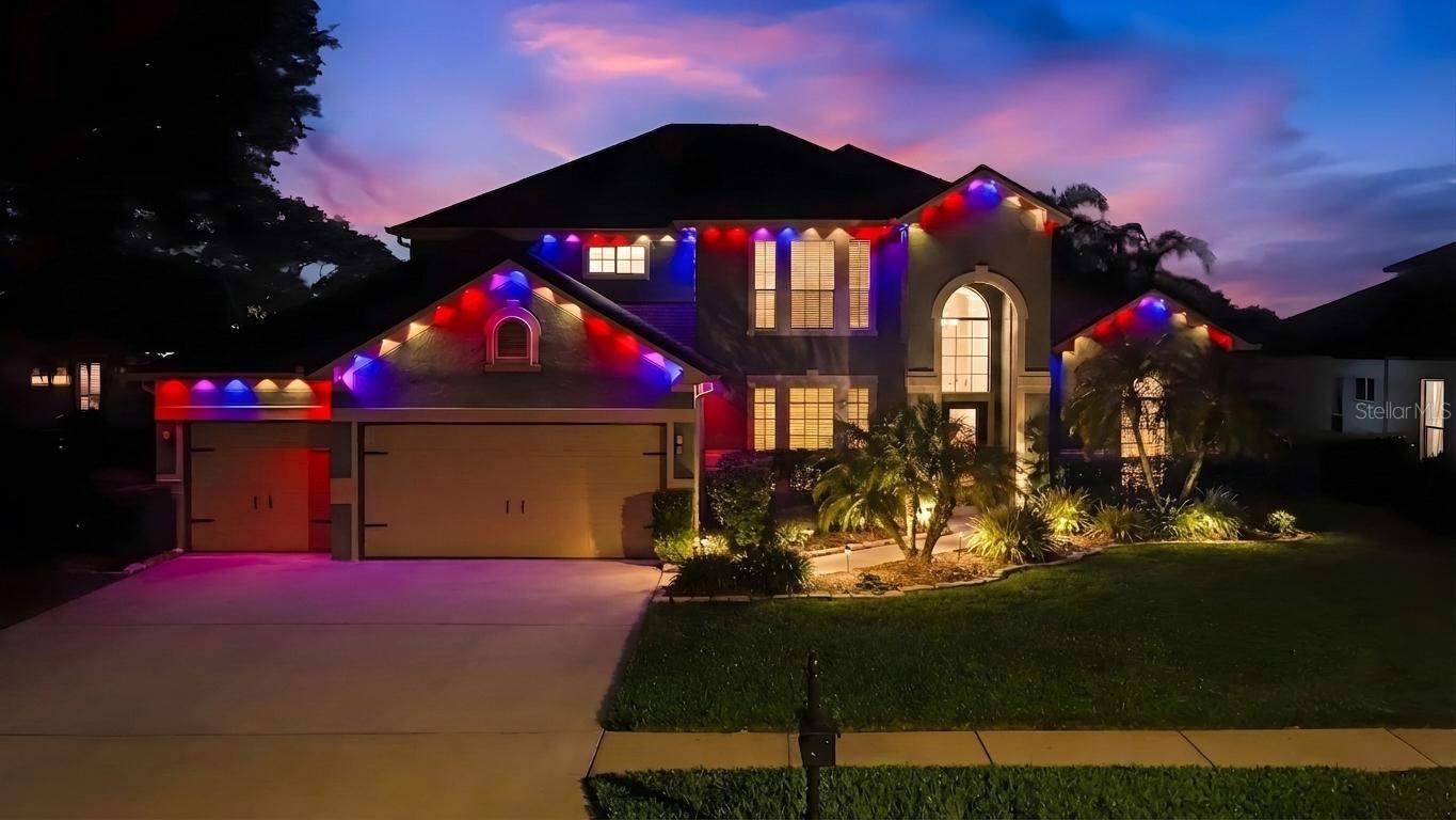 Holiday Govee lighting