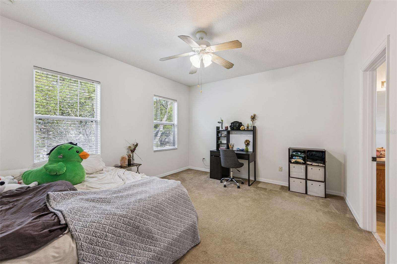 5224 LEMON TWIST LN, WINDERMERE, FL, 34786