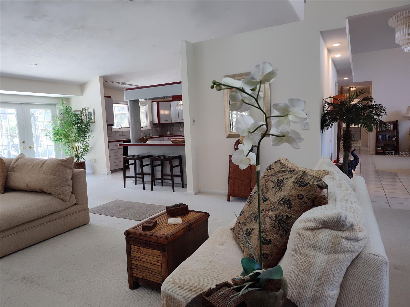 828 SAWGRASS LN, NEW SMYRNA BEACH, FL, 32168