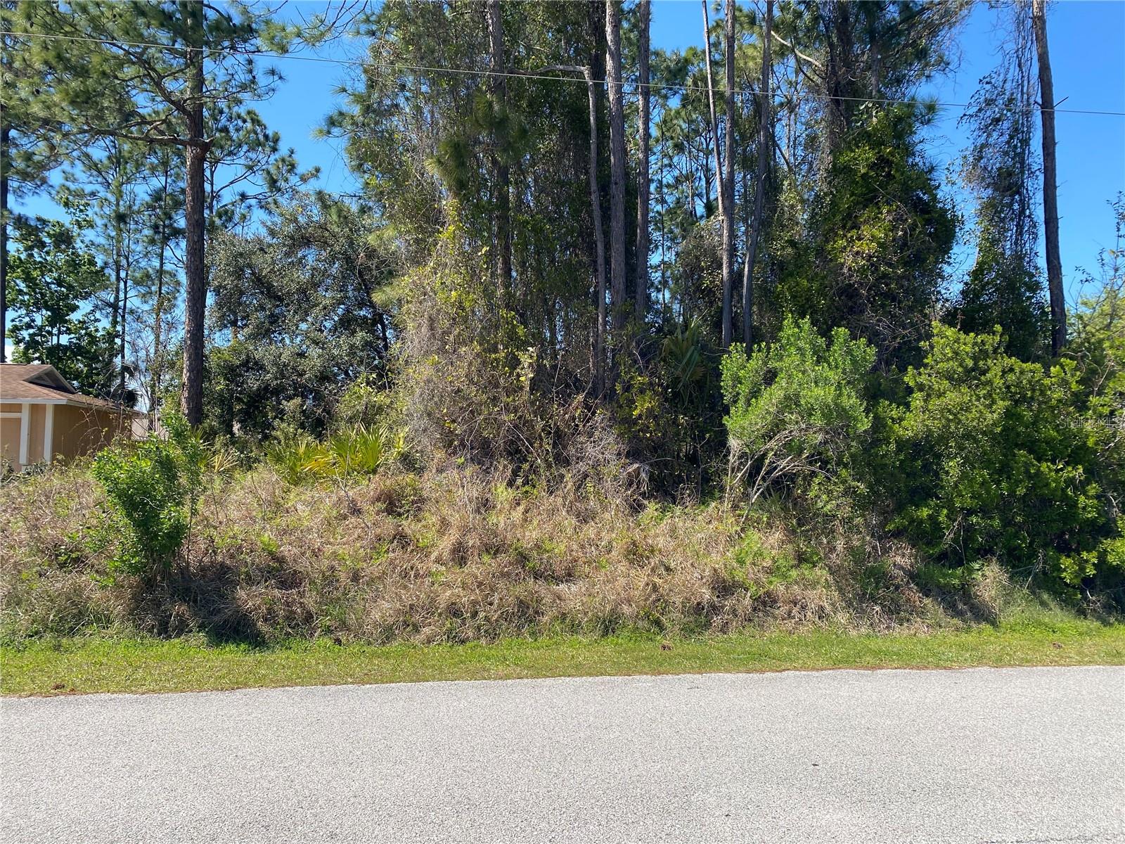 51 BRONSON LN, PALM COAST, FL, 32137