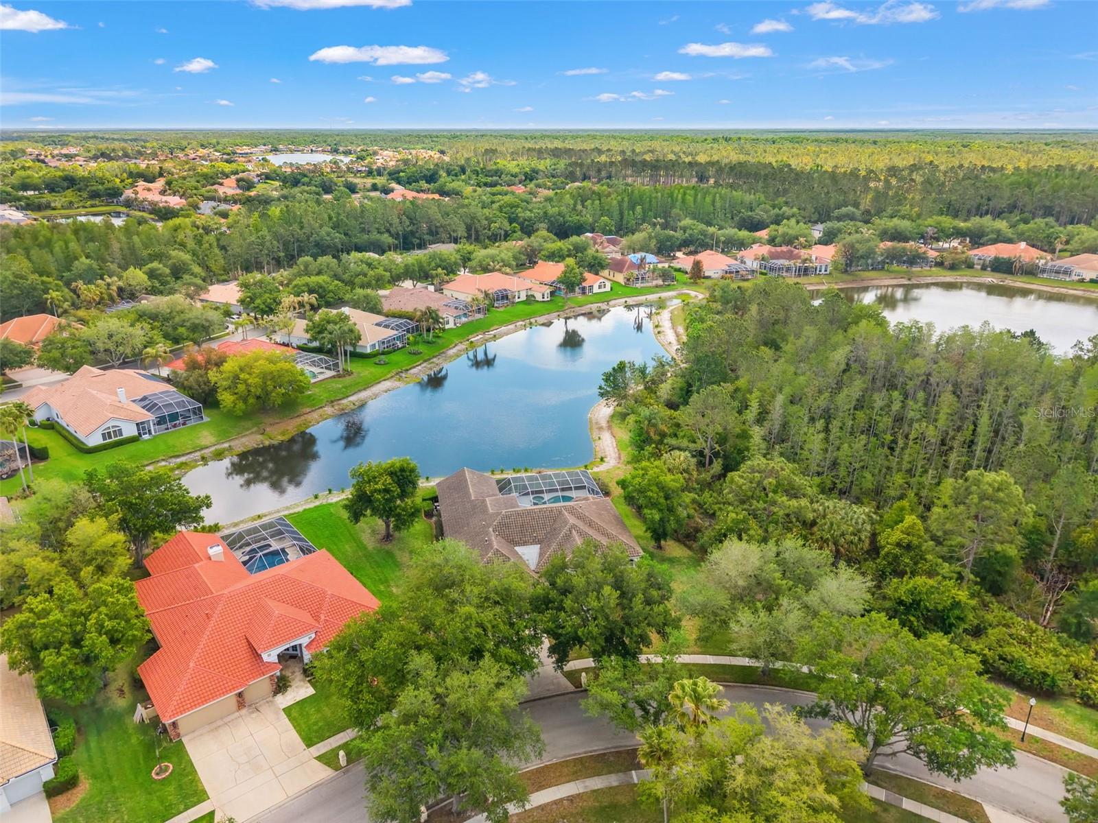 17905 ARBOR GREENE DR, TAMPA, FL, 33647