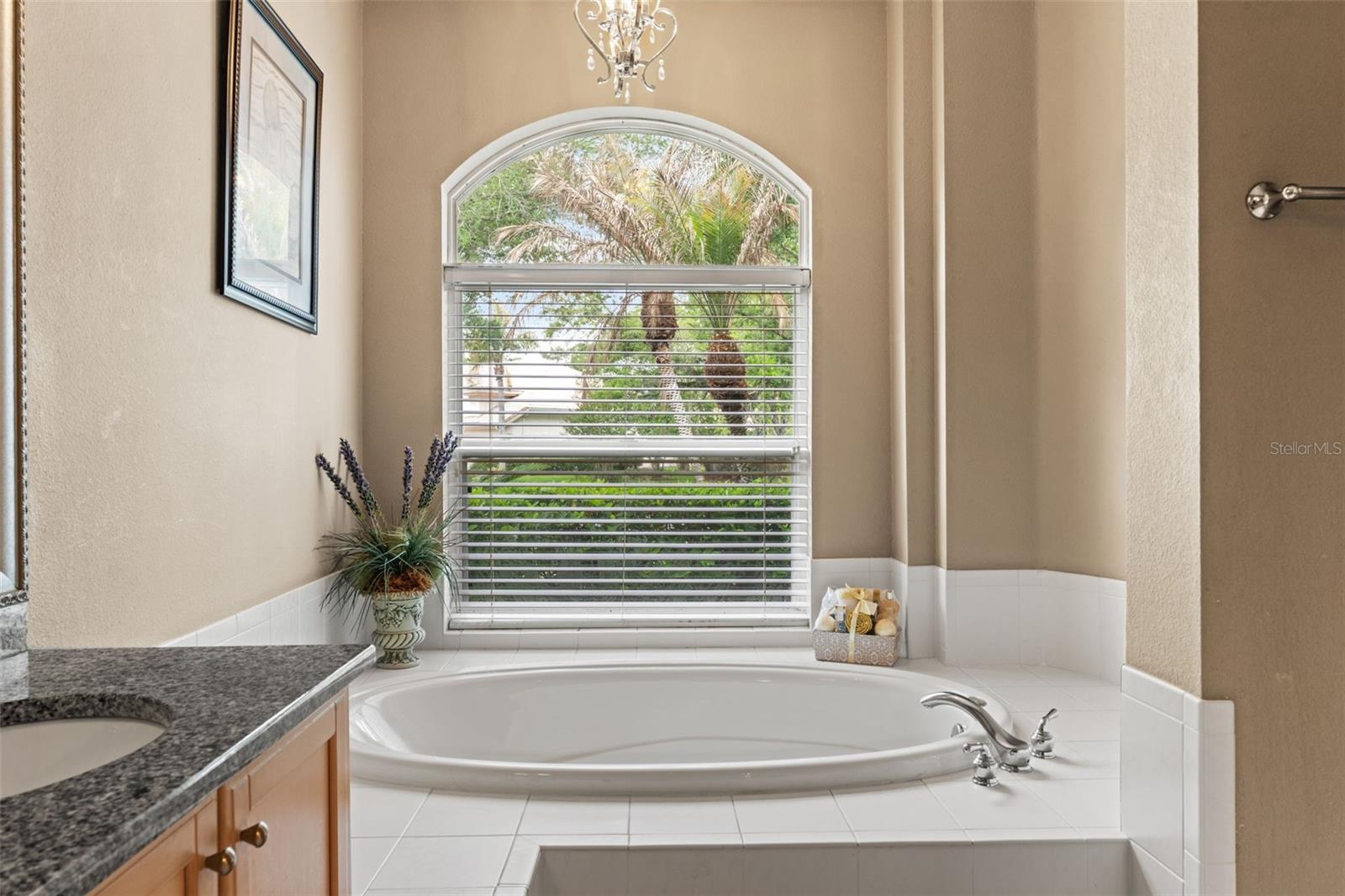 17905 ARBOR GREENE DR, TAMPA, FL, 33647