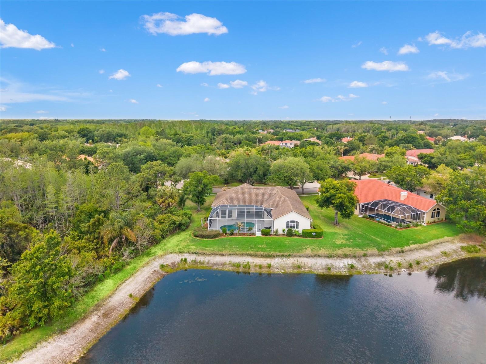 17905 ARBOR GREENE DR, TAMPA, FL, 33647