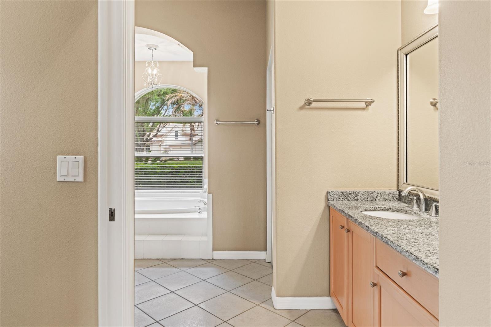 17905 ARBOR GREENE DR, TAMPA, FL, 33647