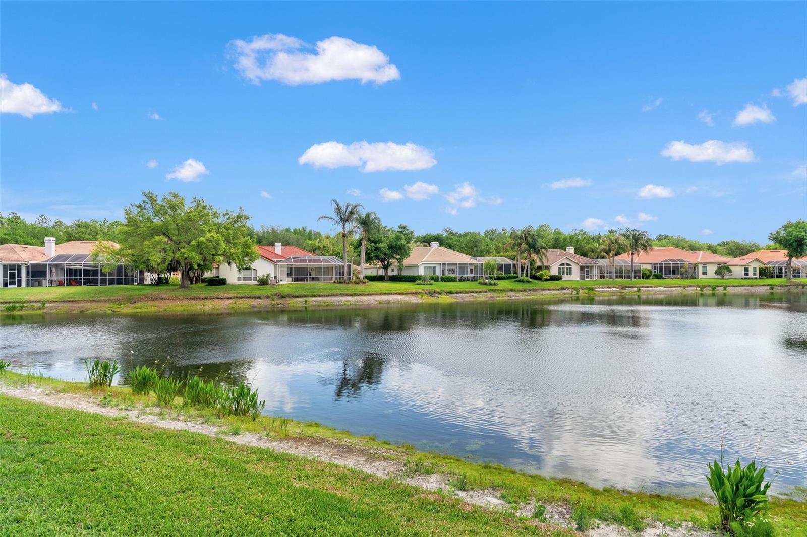 17905 ARBOR GREENE DR, TAMPA, FL, 33647