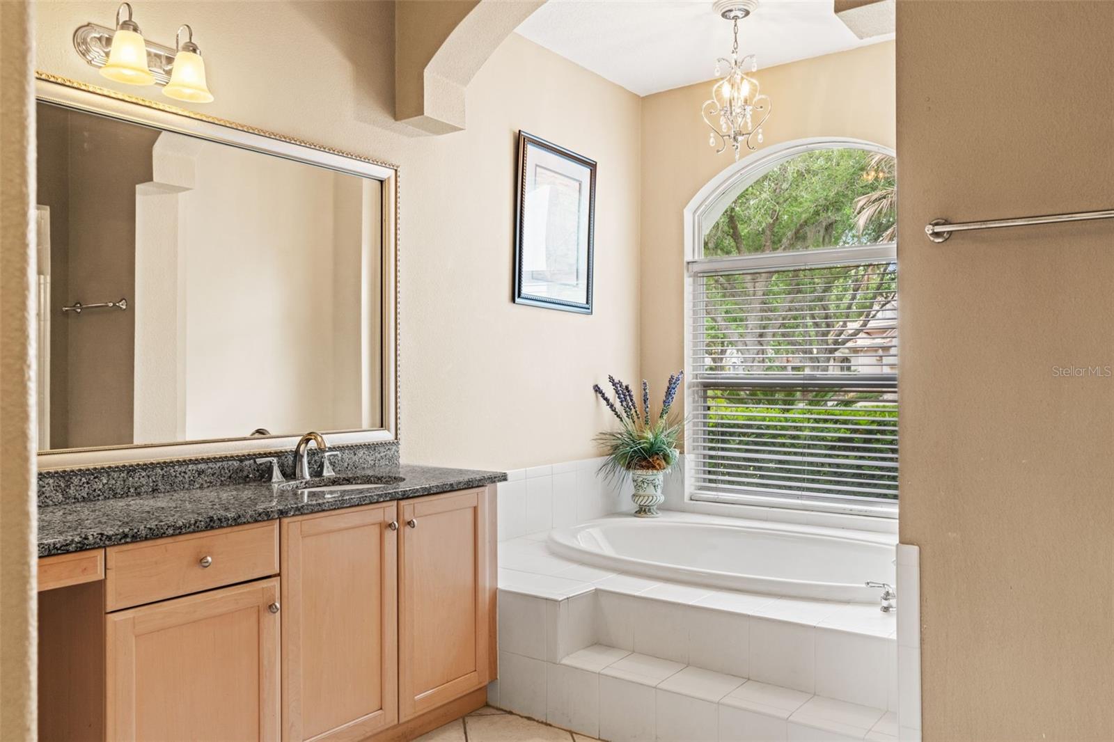 17905 ARBOR GREENE DR, TAMPA, FL, 33647