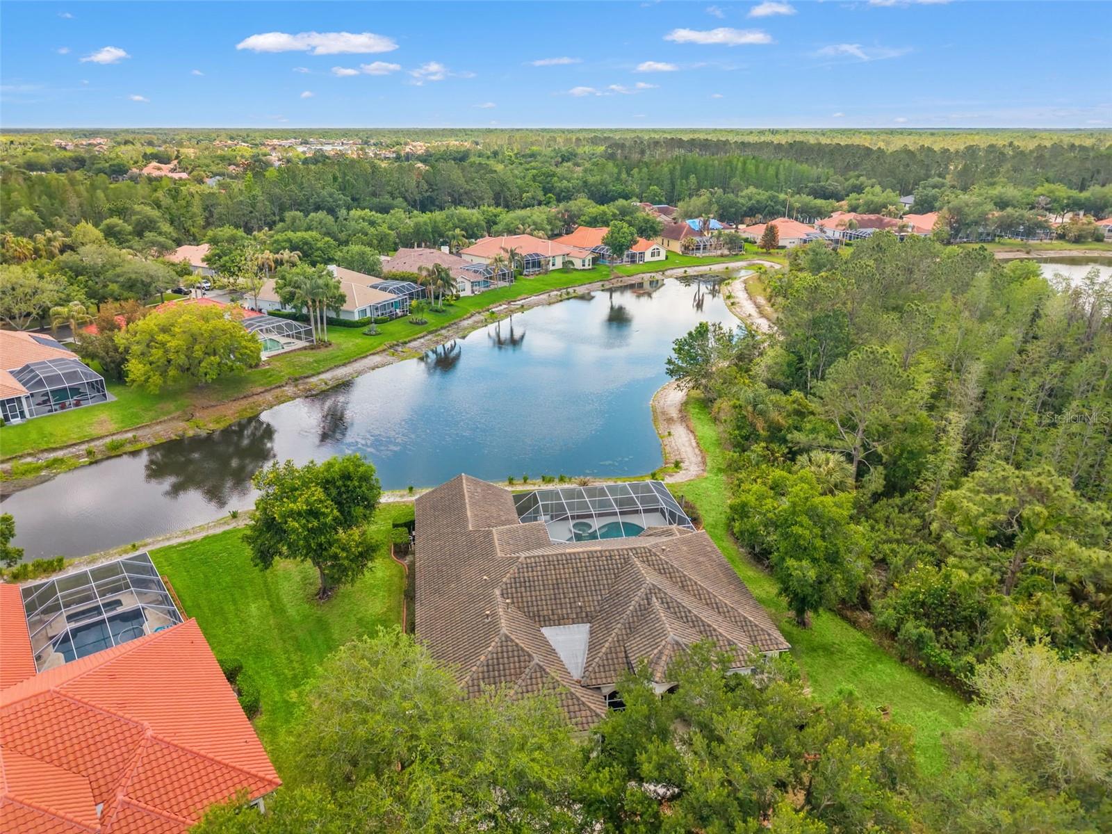 17905 ARBOR GREENE DR, TAMPA, FL, 33647