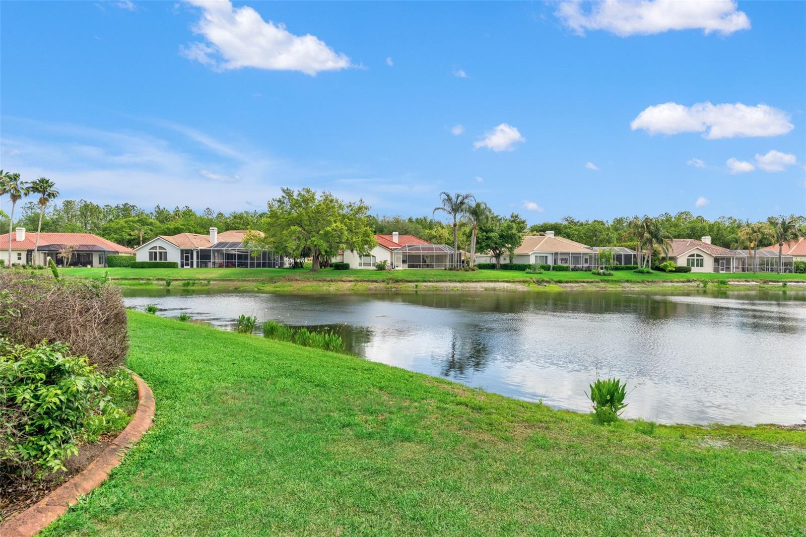 17905 ARBOR GREENE DR, TAMPA, FL, 33647