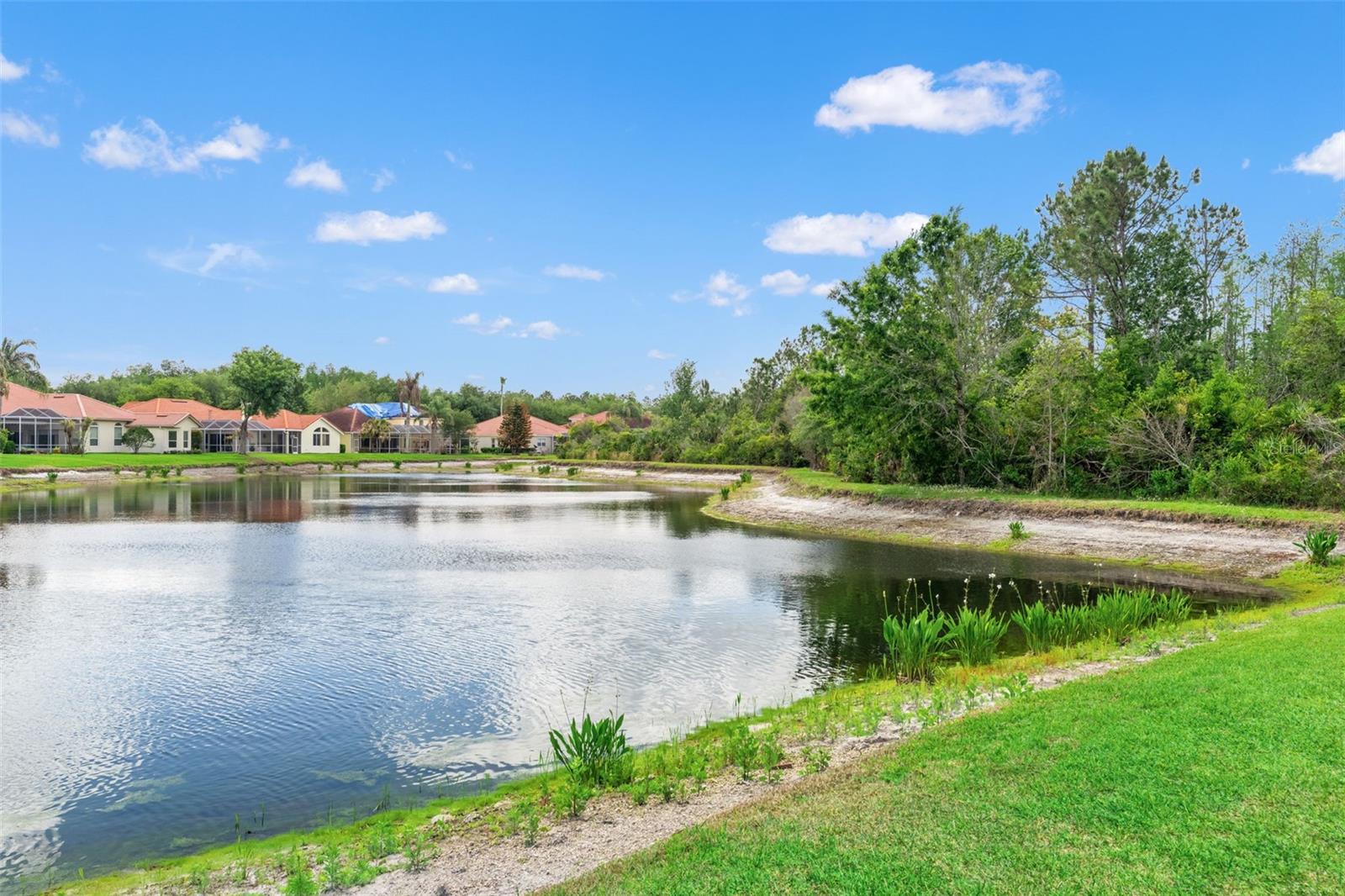 17905 ARBOR GREENE DR, TAMPA, FL, 33647