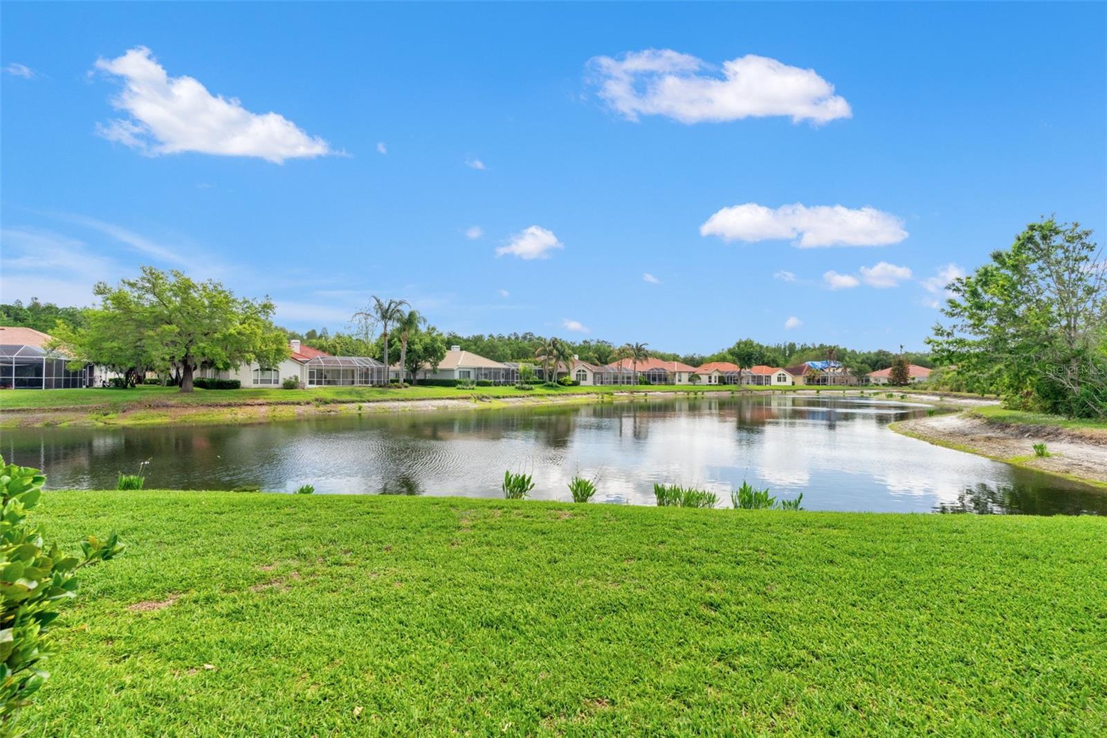 17905 ARBOR GREENE DR, TAMPA, FL, 33647